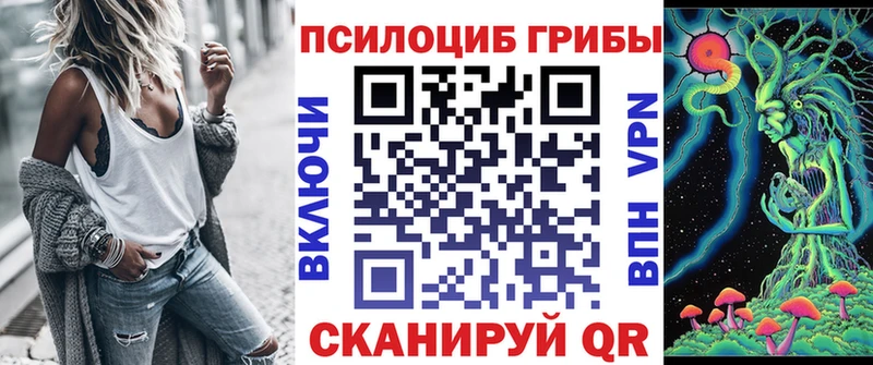 Купить  Избербаш  Галлюциногенные грибы GOLDEN TEACHER 